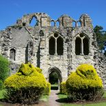 Baza roślin do ogrodu: iglaki