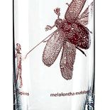 Inspiracje naturą: szklanka z motywem owada.