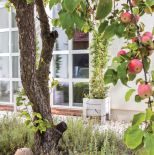 Palazzo z jabłonką – klasyczne wnętrza domu w Szczecinie