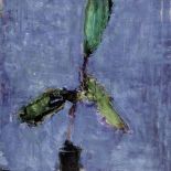 Jacek Sienicki, Fikus , 1995 r., Desa Unicum