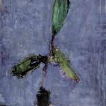 Jacek Sienicki, Fikus , 1995 r., Desa Unicum