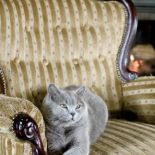 Jak Marta i Marcin zamieszkali w dworku znanym z Czterech pancernych .