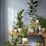 jak odświeżyć salon na wiosnę