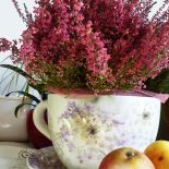 Jak zrobić jesienną dekorację z wrzosów? Wrzos posadzony w prowansalskiej doniczce nie bez powodu nazywany