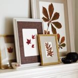 Liście w ramce: elegancka dekoraja DIY