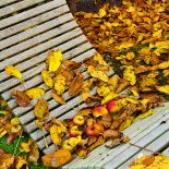 Najpiękniejszy jesienny ogród Holandii