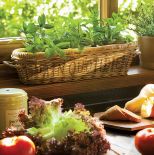 Jeśli gdziekolwiek na ziemi jest raj, to Bettina właśnie go znalazła. W swoim domu na Majorce, w małej wsi