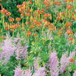 Jeśli myślisz, że wodne ogrody swój nastrój zawdzięczają tylko liliom pływającym po jeziorze, musisz odwiedzić