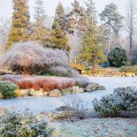 Kamienie dekorują oczko wodne. Ogród japoński pod śniegiem