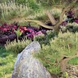 Kamienie świetnie się komponują z otaczającą je roślinnością.