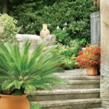 Kamienne schody komponują się z soczystą zielenią roślin.