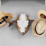 Kapelusze na porożach to jeden z nielicznych oryginalnych detali w domu.