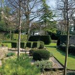 Karłowate drzewka i równo przycięte bukszpany.