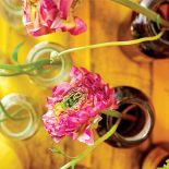 Każdy kwiat jest inny, dlatego potrzebuje osobnego naczynia.