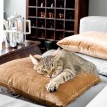 Mieszkanie w stylu lat 50.