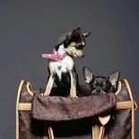 Walizki i torebki Louis Vuitton