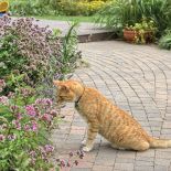 Ogród wtopiony w mazowiecki krajobraz