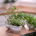 Kolekcja 58Products. Śniadanie z uśmiechem