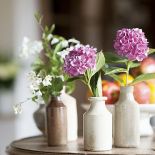 Kolekcja ceramiki. Francuski styl na belgijskiej wsi