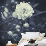 Kolekcja Expressions, tapeta Hope, Mr Perswall