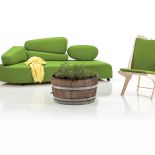 Kolekcja Mosspink. Kolorowy dizajn