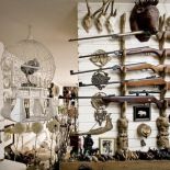 Kolekcja myśliwska. Domowa scenografia