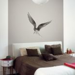 Kolekcja Photo, tapeta Dove, Mr Perswall