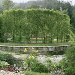 Kolisty salon otoczono wysokimi strzyżonymi grabami.