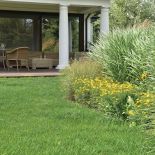 Koło tarasu projektanci zasadzili rudbekie, słoneczniki i kilka rodzajów traw.