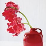 Pierwsze wiosenne bukiety