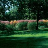 Kolorowe trawy w ogrodzie. Nad rzeczką, pośród traw