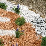 Kolorowy żwirek pięknie komponuje się z bylinami.