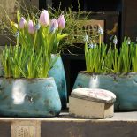 Kolory prowansalskich donic, skrzynek czy osłonek nawiązują do kolorów morza, ziemi i prowansalskich ukwieconych łąk.