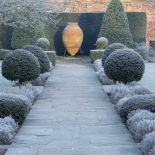 Zimowy ogród w hrabstwie Hertfordshire