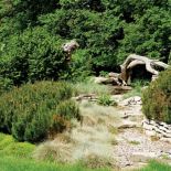 Kosodrzewiny i kostrzewa, a obok kamienne murki i powykręcane suche konary - ogród wygląda, jakby natura sama się tu