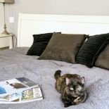 Kotka Zara - cała w brązach. Toskania po polsku