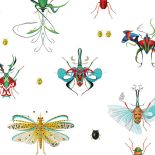 Księga owadów, 2011 r. Botaniczne grafiki Bożki Rydlewskiej