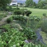 Kto by pomyślał, że jeszcze niedawno było tu pole i rosło żyto.