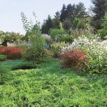 Kto szuka pomysłu na własny ogród, powinien zajrzeć na Dolny Śląsk do Wojsławic.