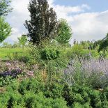 Kto szuka pomysłu na własny ogród, powinien zajrzeć na Dolny Śląsk do Wojsławic.