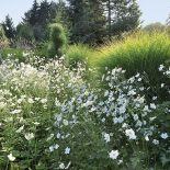 Kto szuka pomysłu na własny ogród, powinien zajrzeć na Dolny Śląsk do Wojsławic.
