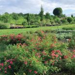 Kto szuka pomysłu na własny ogród, powinien zajrzeć na Dolny Śląsk do Wojsławic.
