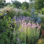 Kto szuka pomysłu na własny ogród, powinien zajrzeć na Dolny Śląsk do Wojsławic.