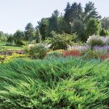 Kto szuka pomysłu na własny ogród, powinien zajrzeć na Dolny Śląsk do Wojsławic.