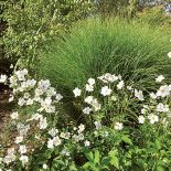 Kto szuka pomysłu na własny ogród, powinien zajrzeć na Dolny Śląsk do Wojsławic.