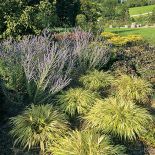 Kto szuka pomysłu na własny ogród, powinien zajrzeć na Dolny Śląsk do Wojsławic.