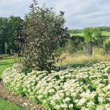 Kto szuka pomysłu na własny ogród, powinien zajrzeć na Dolny Śląsk do Wojsławic.