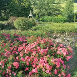 Kto szuka pomysłu na własny ogród, powinien zajrzeć na Dolny Śląsk do Wojsławic.