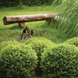 Ogród pełen traw i żywopłotów