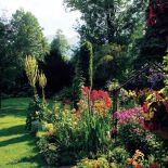 Kwiaty można hodować wszędzie, widok na Giewont jest tylko tutaj.